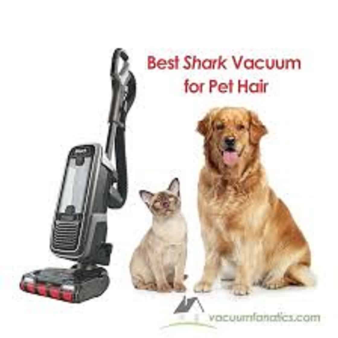 Vacuum For Pet Hair – Buying Guide