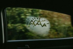 Top 10 Tips to Survive Cold-Weather and Winter 11 top-10-tips-survive-cold-weather-winter