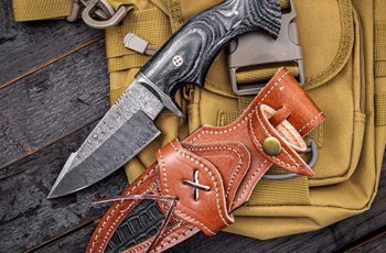 Top 10 Best High-rated Bowie Knife Reviews of 2022