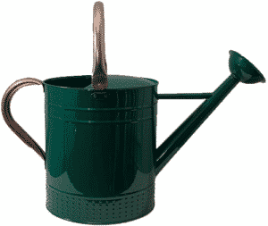 best watering can