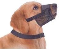 best-dog-muzzles