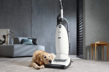 Best Vacuums For Pet Hair in 2023 Reviews