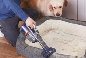 handheld vacuum for pet hair